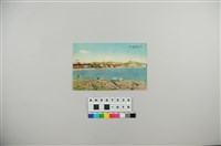 藏品(日治明信片：青島太平路的沿海大道景觀)的圖片